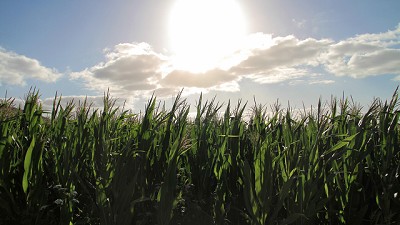 Hacia un equilibrio sostenible: la convivencia de los sistemas productivos