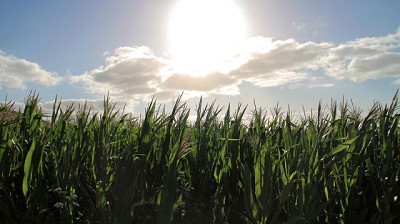 Hacia un equilibrio sostenible: la convivencia de los sistemas productivos