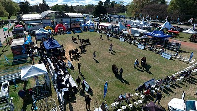 Se viene la 44° Exposición Nacional Angus de Primavera