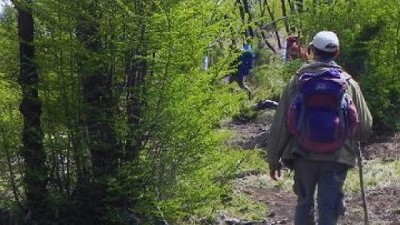 Las especies nativas protegen la cordillera argentina