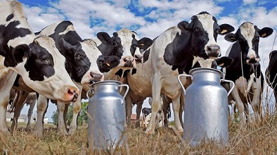 Mercado externo deprimido + poca comida + precio que no alcanza = ¿qué puede salir mal?