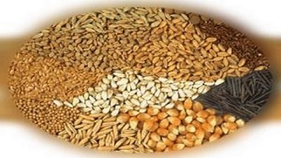 Advierten la necesidad de liberar la importación de semillas para pasturas