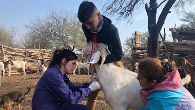 Córdoba: Tareas de saneamiento en rodeos de comunidades de la Agricultura Familiar