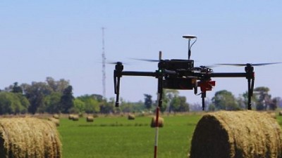 Alfalfa: usan drones para cuantificar la calidad de siembra