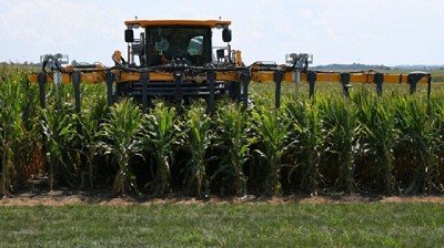 Los maíces “petisos” y su impacto en las agromáquinas