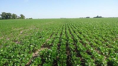 Nuevas tecnologías y medidas necesarias para potenciar la producción de soja