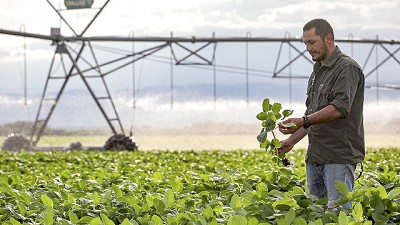 Avanzan en la remoción de gases de efecto invernadero a través de la producción agrícola sustentable