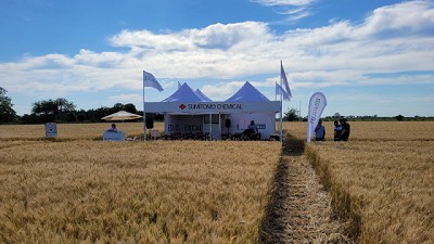 Una nueva molécula, la más 