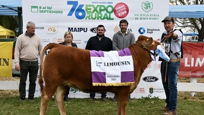 Limousin fue la raza más numerosa en la 76º Exposición de Rural de Jesús María, Córdoba