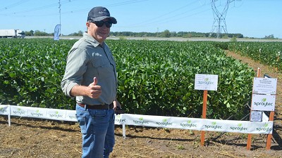 Cómo elegir el auxiliar de aplicación para controlar malezas difíciles
