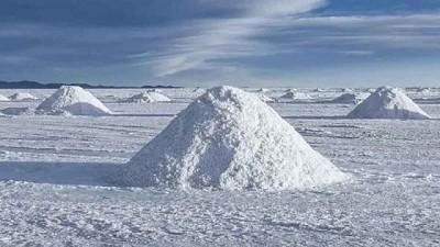 El litio y el valor agregado ¿dónde está la oportunidad argentina?