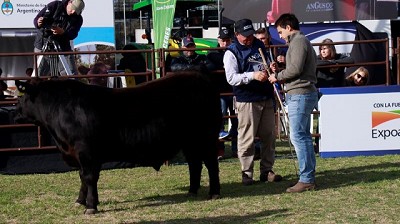 La calidad de los ejemplares sorprendió en la primera jornada