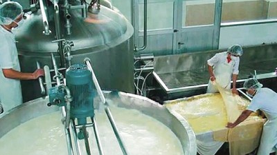 Capitales locales reflotan la ex planta de Schreiber