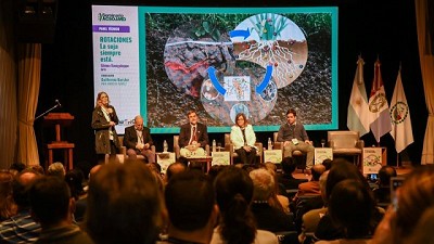 La soja siempre está: novedades en semillas, fertilización y rotación