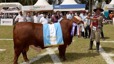 ExpoBRA 2023: Definiciones solo por 