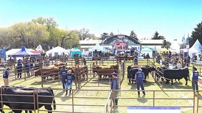 Los Puro Controlado sorprendieron con su genética en el último día de la expo