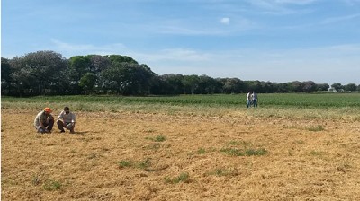 Proyecto Brechas CREA: primeros pasos y desafíos