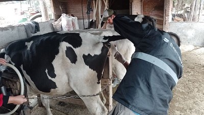 Actividades de saneamiento en tambos de la Agricultura Familiar en el norte tucumano
