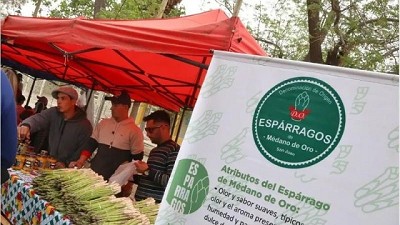 Exitosa fiesta del espárrago y el alcaucil
