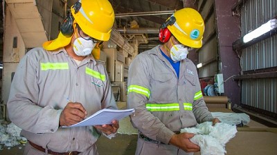 Comienza la renovación del Registro Fitosanitario Algodonero para el período 2024