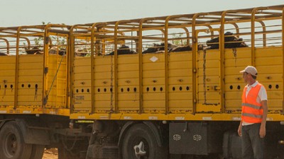 Formosa: Avanza la implementación del Documento Único de Tránsito de hacienda