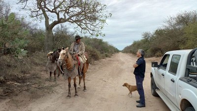 Langostas: Se constató la ausencia de la plaga en la región del chaco occidental
