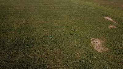 Suelos salinos: cómo recuperar hectáreas donde 