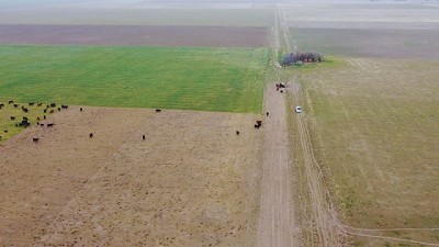 Productores bonaerenses controlan malezas sin mover el suelo