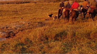 Utilizan sensores remotos para monitorear la producción forrajera en áreas serranas