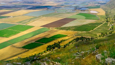 Tecnologías agrícolas de Israel que cambiaron la agricultura