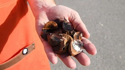 Una pyme cordobesa produce 