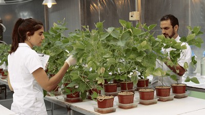 El auge de los productos biológicos, un mercado que crece 15% por año en Argentina