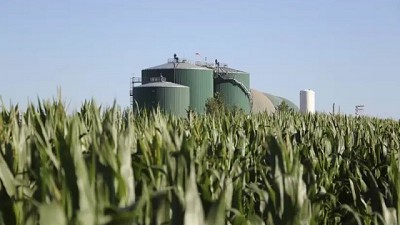 La Argentina tiene una gran oportunidad en el mercado de combustibles renovables para la aviación