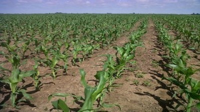 Trazabilidad, nutrición y huella de carbono: aliados para una producción sustentable