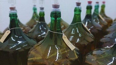 Chips de sarmientos, una madera alternativa para crianza de vinos