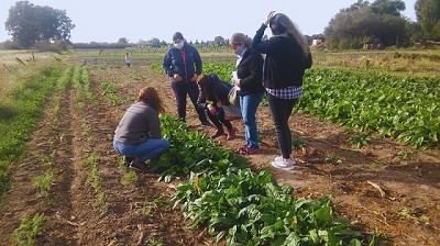 Sello agroecológico para agricultores que producen con compromiso