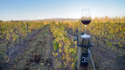 Se vienen las III Jornadas Nacionales de Turismo de Vino