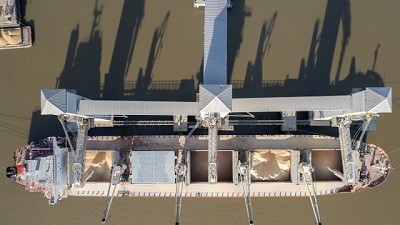 Viterra exporta por primera vez en Argentina harina sustentable 100 % segregada, con destino a la Unión Europea