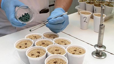 Los biológicos, un puente hacia un uso más eficiente de fertilizantes y fitosanitarios