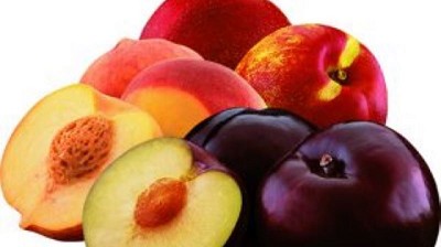 Argentina: Duraznos, nectarinas y ciruelas de Jujuy inician la temporada de comercialización nacional