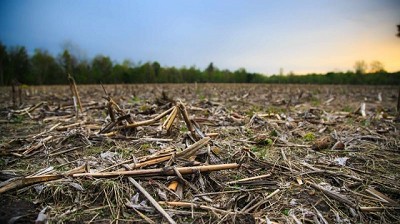 Aplicaciones eficientes en barbechos complejos: qué formulaciones se recomiendan