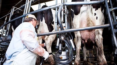 Impulso Tambero 2: Concretan el tercer pago por más de $3.573 millones para 4.571 productores