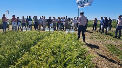 Llegó una nueva generación en genética para cultivos de invierno