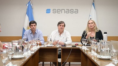 Encefalomielitis Equinas: Se convocó a la Comisión Nacional de Sanidad y Bienestar de los Équidos
