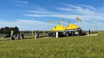 Nidera Semillas presentó su Campo Líder de Trigo en el Sudeste