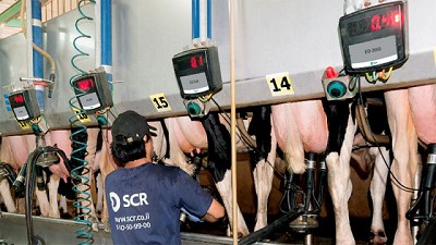 Una «Solución de Ordeño Inteligente» para prevenir la bimodalidad