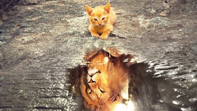 Baglini, redimido por Milei