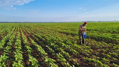 Elaboran un mapa que revela la salud del suelo del norte argentino
