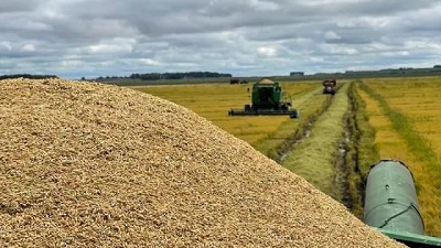Asociación de Cultivadores de Arroz terminó de pagar el cuarto fondo arrocero