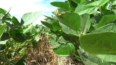 Mejorar la sustentabilidad de los sistemas productivos, es posible